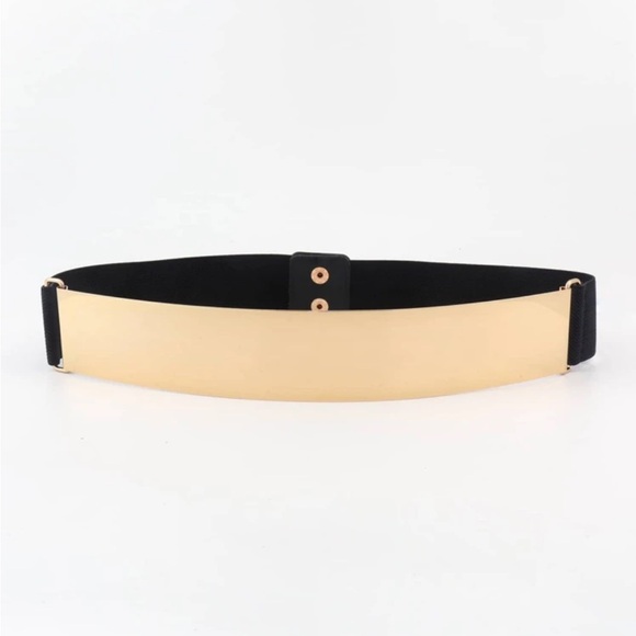 Zara limited edition stretchable with gold metallic combination belt - Picture 2 of 10